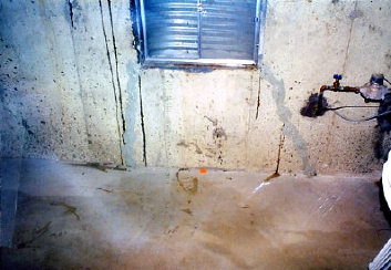 Distance View of Foundation Crack Near Window